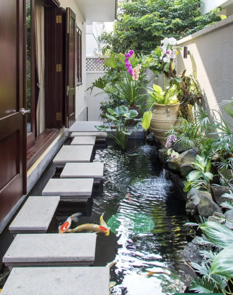 Desain Kolam Koi di Lahan Sempit