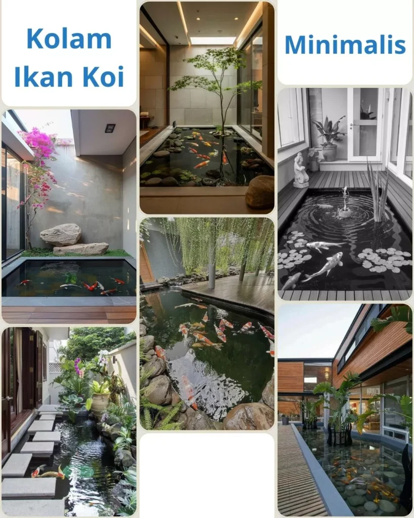 Tips Membuat Kolam Ikan Koi Minimalis di Lahan Sempit agar Tetap Indah dan Sehat