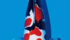 Mengenal Ikan Koi Showa