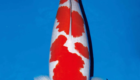 Pilihan Grade Ikan Koi Kohaku